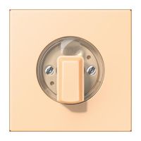 Abdeckung für Drehschalter LC 1941 223