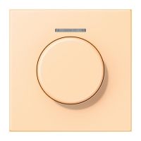 Abdeckung mit Lichtleiter LC 1940 KO5 223