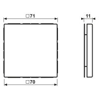 Blind-Abdeckung (gerastet) LC 994 B 257