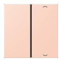 Taste 1fach m. Pfeilsymb. LC 401 TSAP 234