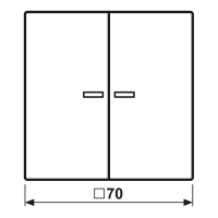 Wippe 2fach m. Lichtleiter LC 995 KO5 263