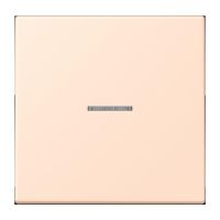 Wippe mit Lichtleiter LC 101 KO5 228