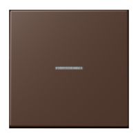 Wippe mit Lichtleiter LC 101 KO5 239
