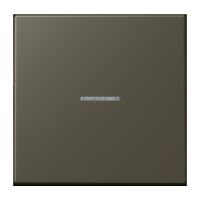 Wippe mit Lichtleiter LC 101 KO5 241