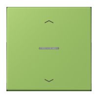 Wippe mit Lichtleiter LC 101 KO5P 220