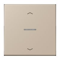 Wippe mit Lichtleiter LC 101 KO5P 243