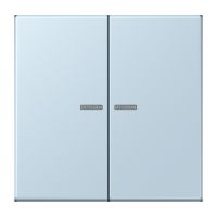 Wippe mit Lichtleiter LC 102 KO5 208