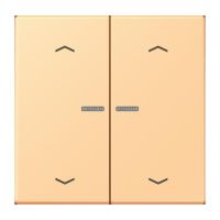 Wippe mit Lichtleiter LC 102 KO5P 258