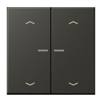 Wippe mit Lichtleiter LC 102 KO5P 259