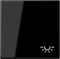 Wippe Symbol Licht A 590 BF L SW