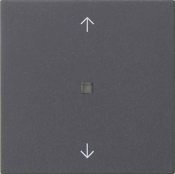 Funk-Bedienaufsatz 549428 anthrazit