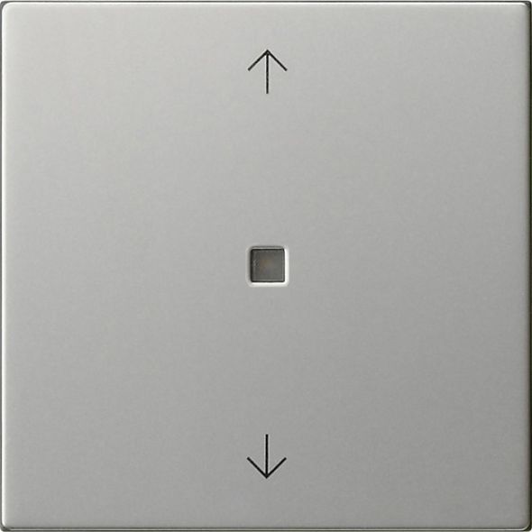 Funk-Bedienaufsatz 5494600 edelstahl