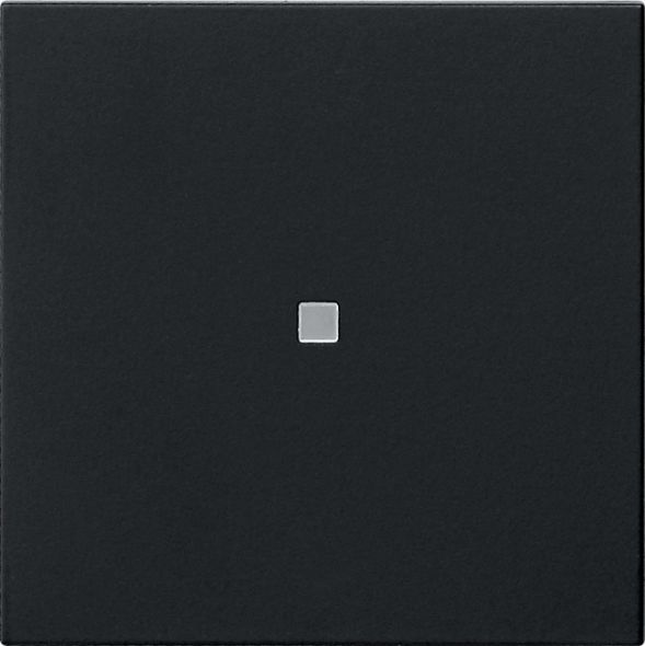 Funk-Bedienaufsatz 5495005 schwarz matt
