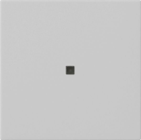 Funk-Bedienaufsatz 5495015 grau matt