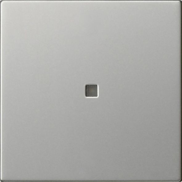 Funk-Bedienaufsatz 5495600 edelstahl