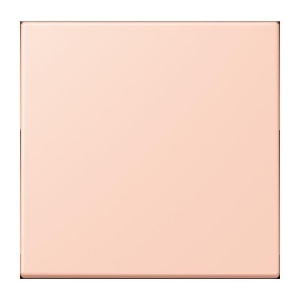 LB-Management Taster 1fach LC 1700 234