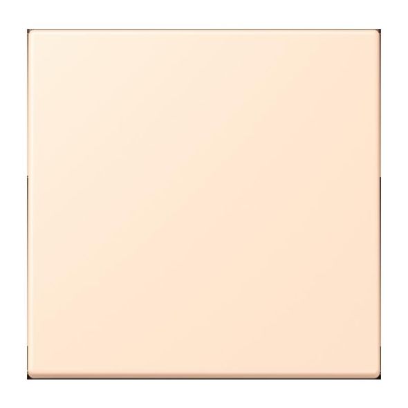 LB-Management Taster 1fach LC 1700 238