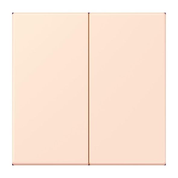 LB-Management Taster 2fach LC 1702 226