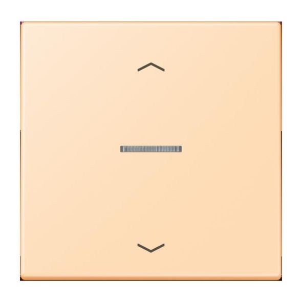 Taster 1fach BT LC 17101 P 223