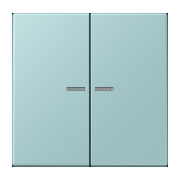 Taster 2fach BT LC 17102 214