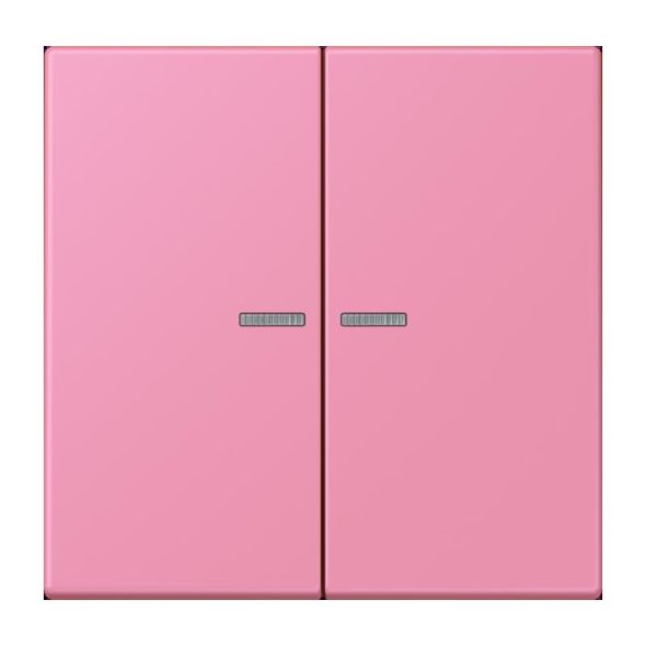 Taster 2fach BT LC 17102 246