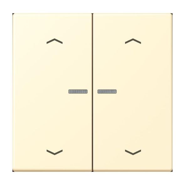 Taster mit Pfeilsymbolen BT LC 17102 P 201