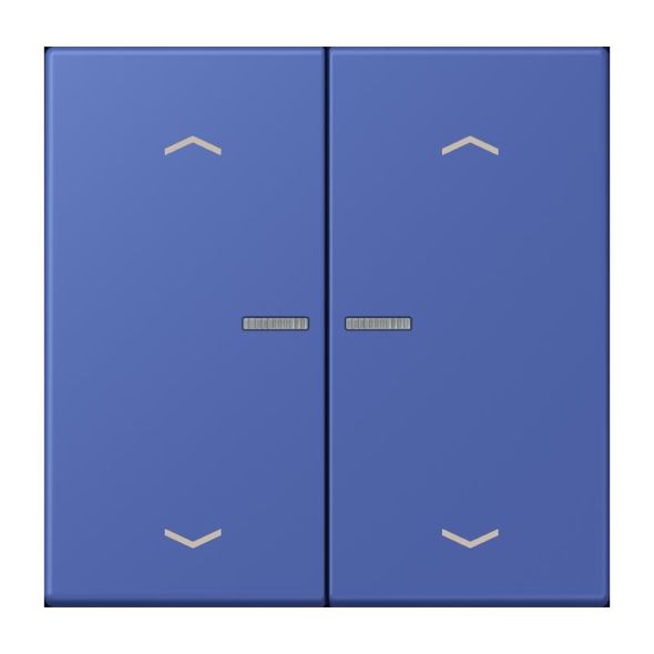 Taster mit Pfeilsymbolen BT LC 17102 P 206