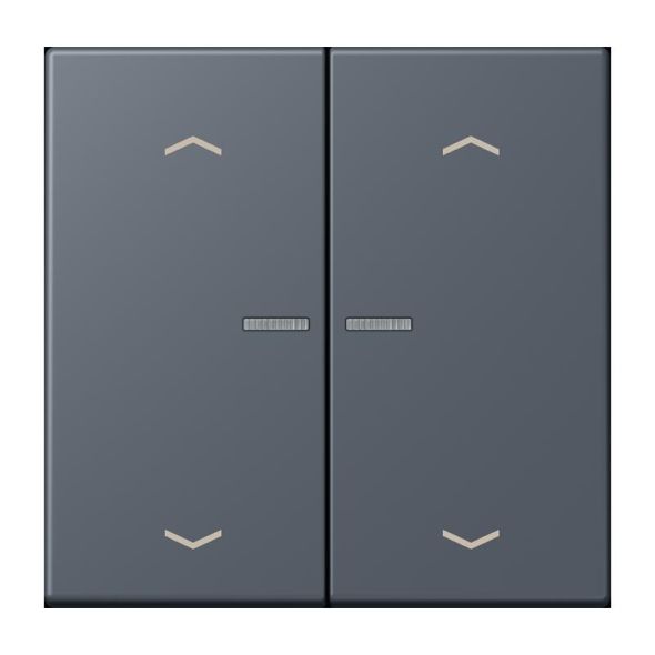 Taster mit Pfeilsymbolen BT LC 17102 P 262