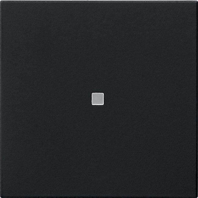 Funk-Bedienaufsatz 5495005 schwarz matt