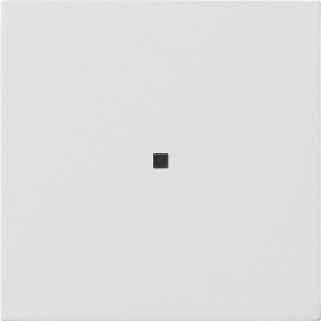 Funk-Bedienaufsatz 5495112 reinweiß glänzend