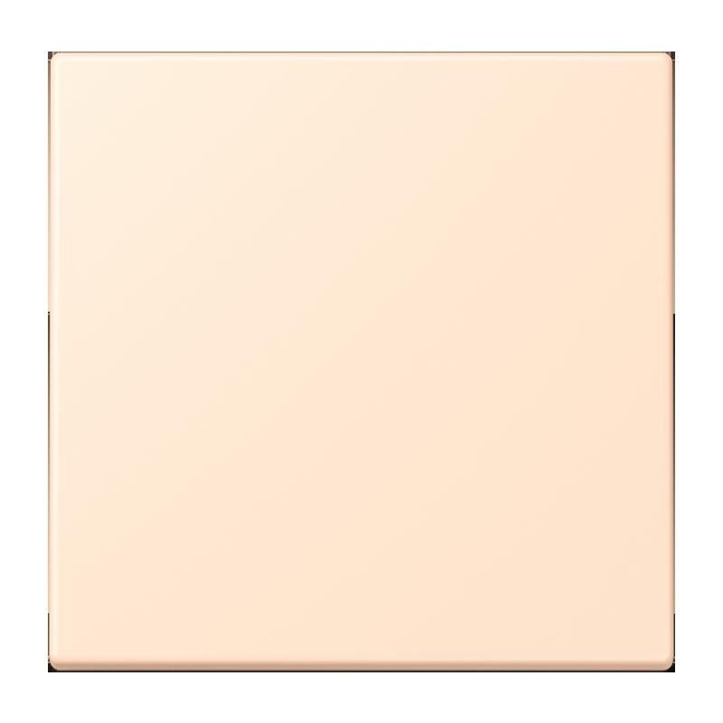 LB-Management Taster 1fach LC 1700 238