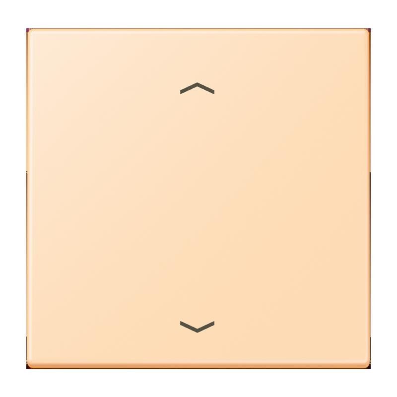 LB-Management Taster 1fach LC 1700 P 223