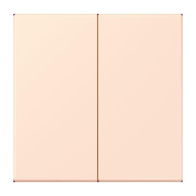 LB-Management Taster 2fach LC 1702 226