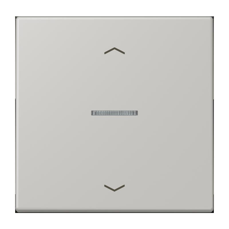 Taster 1fach BT LC 17101 P 205