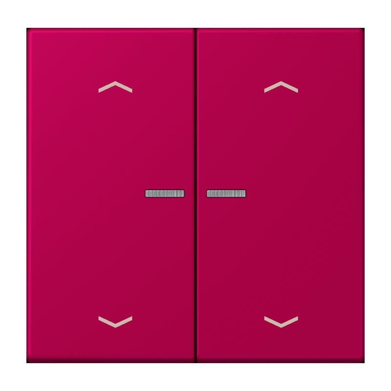 Taster mit Pfeilsymbolen BT LC 17102 P 230