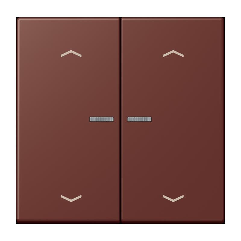 Taster mit Pfeilsymbolen BT LC 17102 P 235