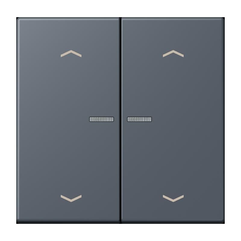 Taster mit Pfeilsymbolen BT LC 17102 P 262