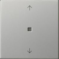 Funk-Bedienaufsatz 5494600 edelstahl