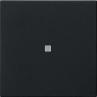 Funk-Bedienaufsatz 5495005 schwarz matt