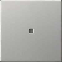 Funk-Bedienaufsatz 5495600 edelstahl