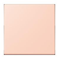 LB-Management Taster 1fach LC 1700 234