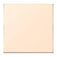 LB-Management Taster 1fach LC 1700 238