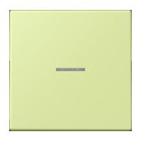 Taster 1fach BT LC 17101 222