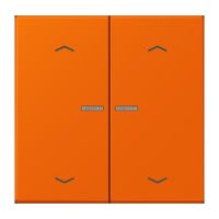 Taster mit Pfeilsymbolen BT LC 17102 P 224