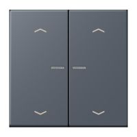 Taster mit Pfeilsymbolen BT LC 17102 P 262