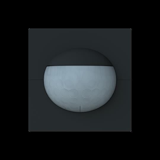 Busch-Wächter 180 flex 62764-45M-WL