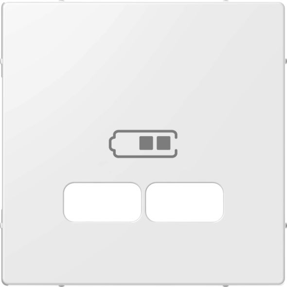 Zentralplatte für USB rws ELG363204
