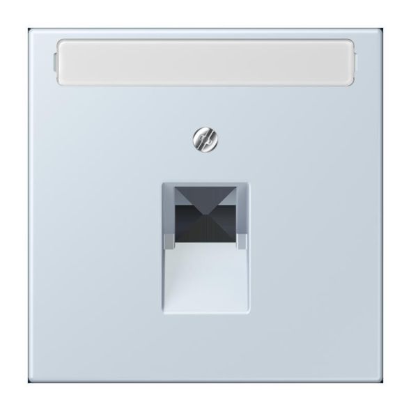 Abdeckung für IAE/UAE LC 969-1 NAUA 209