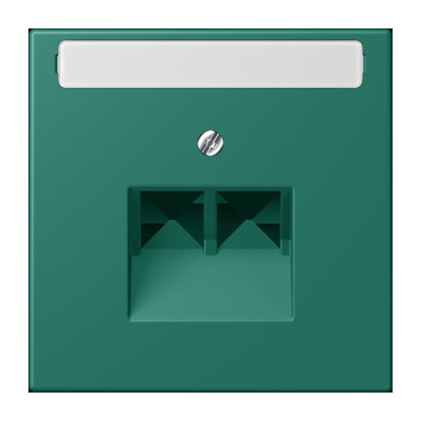 Abdeckung für IAE/UAE LC 969-2 NAUA 216