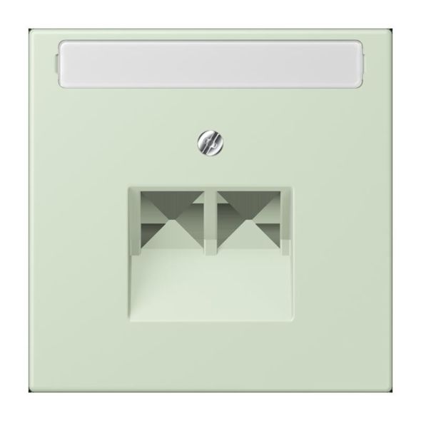 Abdeckung für IAE/UAE LC 969-2 NAUA 218